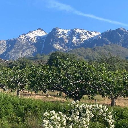 Mirada A Gredos Villa Candeleda Dış mekan fotoğraf