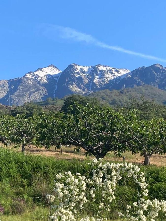 Mirada A Gredos Villa Candeleda Dış mekan fotoğraf