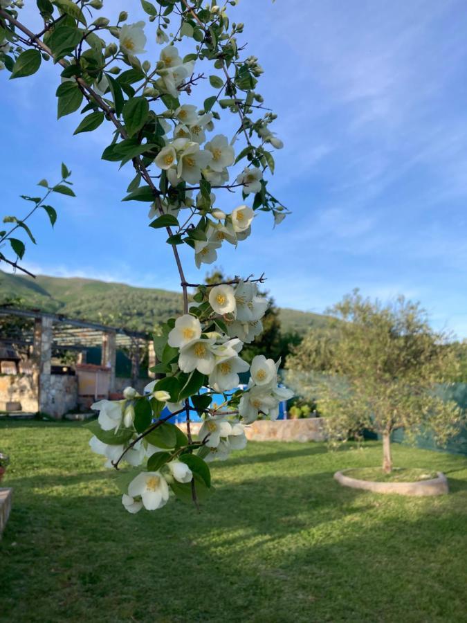 Mirada A Gredos Villa Candeleda Dış mekan fotoğraf